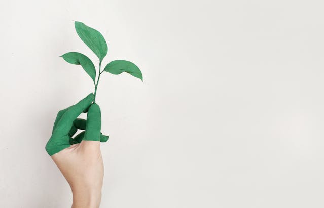 Des Outils pour développer votre croissance.